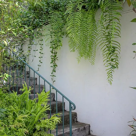 Semesterbostad Antonio's House Funchal (Madeira)