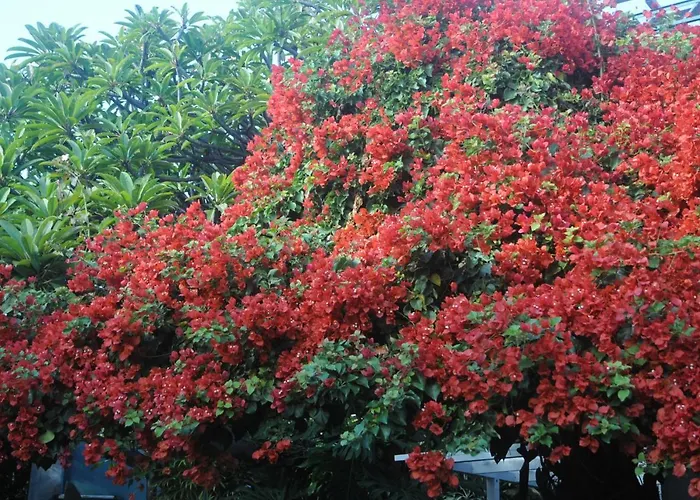 Antonio's House 펜션