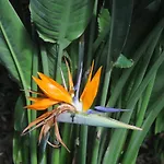 Nyaraló Antonio's House