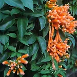 Antonio's House Nyaraló *