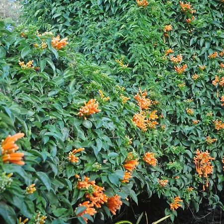 Antonio's House Holiday home