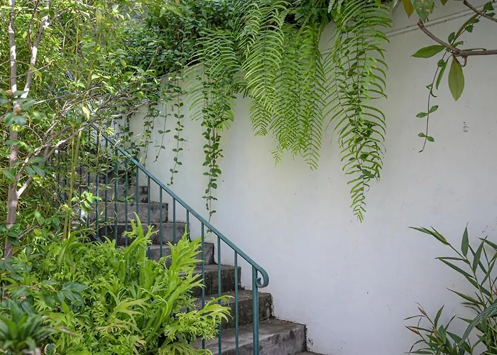 度假居 Antonio's House 丰沙尔