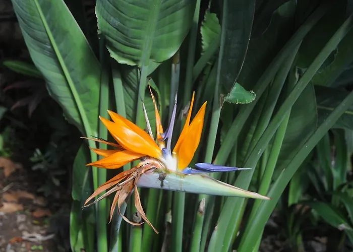 Дом отдыха Antonio's House