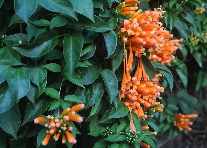 Antonio's House Дом отдыха *