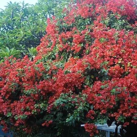 Antonio's House Сasa de vacaciones